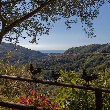 Pietrantica - Affittacamere Con Giardino Nuova Apertura A Trebiano -Citr Exterior foto