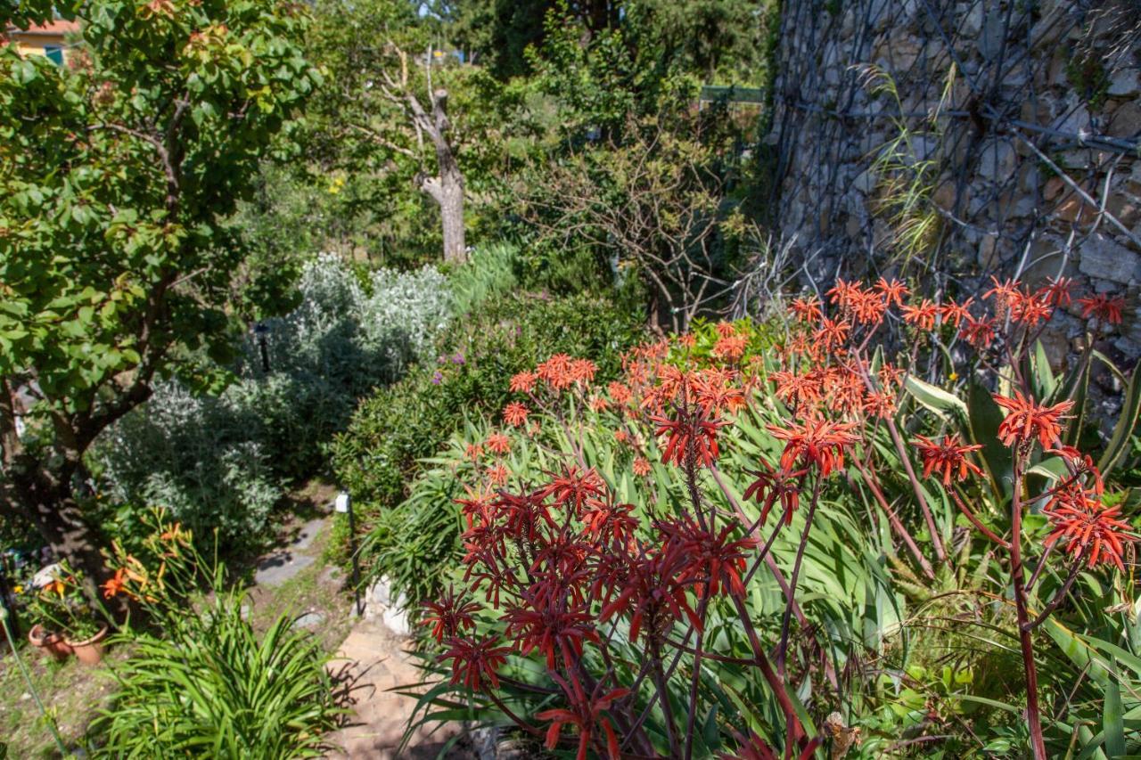 Pietrantica - Affittacamere Con Giardino Nuova Apertura A Trebiano -Citr Exterior foto
