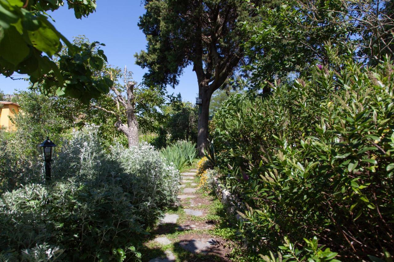Pietrantica - Affittacamere Con Giardino Nuova Apertura A Trebiano -Citr Exterior foto