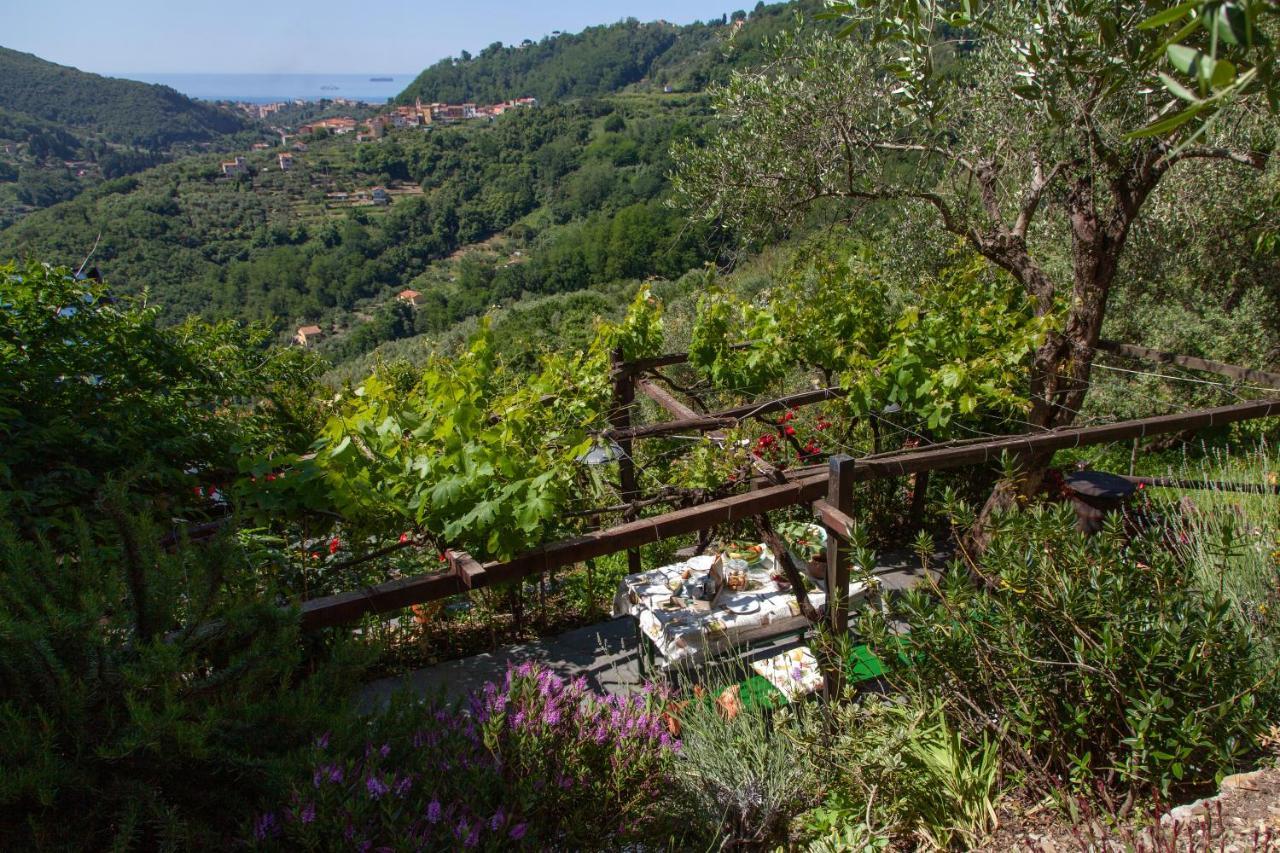 Pietrantica - Affittacamere Con Giardino Nuova Apertura A Trebiano -Citr Exterior foto